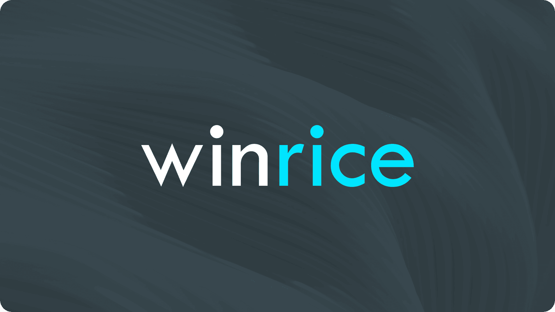 WinRice Turns Two